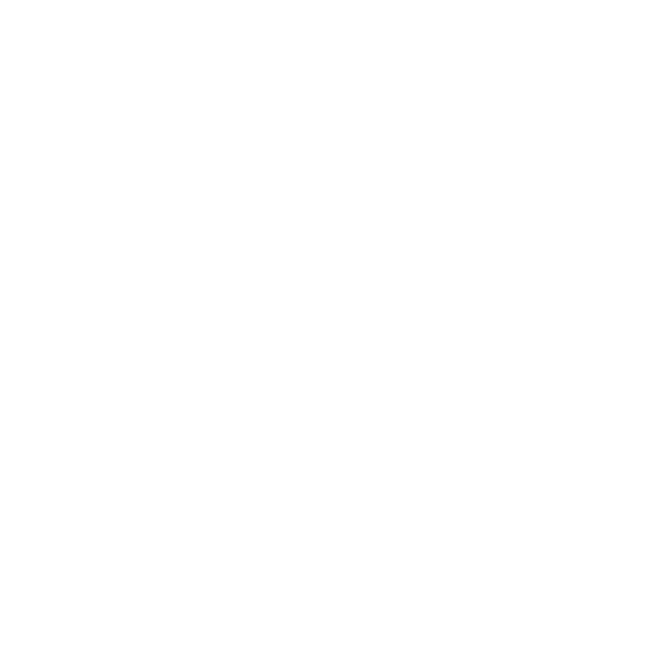 VENZO